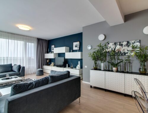 Vrei sa fii inconjurat de armonie si noroc? Iata 5 plante decorative purtatoare de noroc !